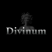 divinum.fashion