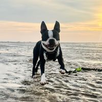 vinnietheboston28
