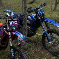 ausin_567