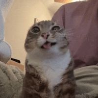 plswyslijstopy