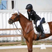 _julia_dressage