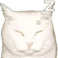 wqzo_