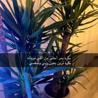 kdj_6969