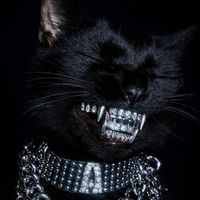 ruhiger_gangster