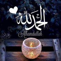 m.hashemi.m