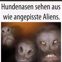 mehrtierhalterin