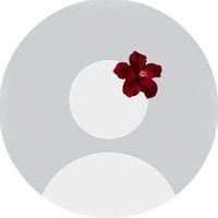 sweater weather