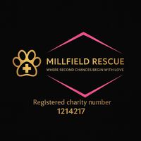 millfieldrescue