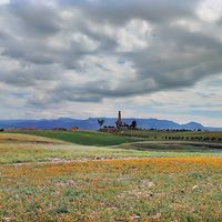 kimo_457