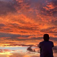 sunet original