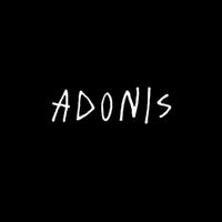 adonis_gunes