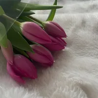 original sound - izzy1111xx