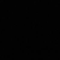 allegraamicarelli12