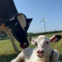 emmy_agri
