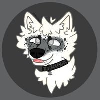 lostlupus