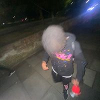 saltivfx