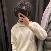 moicestyaniis
