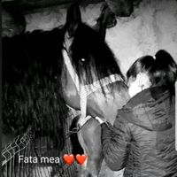 andra._.13.05