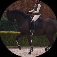 ponnixncc1s