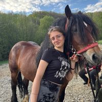 cai_grei6
