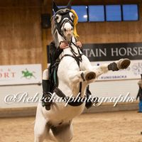 equestrian.uddevalla