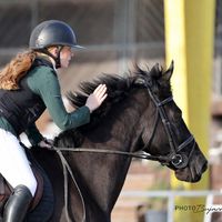 alina.sportponys