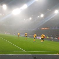 ..wolves..fc