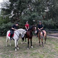 girls.team.koniar