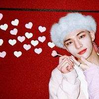 stan.skz48