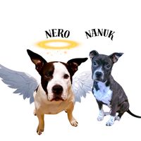 my.angel.nero.and.nanuk