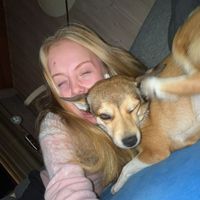 nilssen.spam.acc