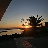 sunset_lover_cy