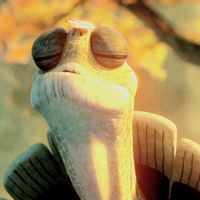 ntm.masteroogway
