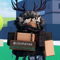 cbohenek