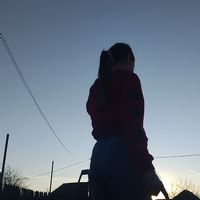 al385628