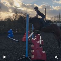 lfr_equestrian02