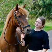 ponyrytter.amanda