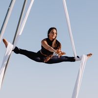 pamela_aerialist