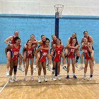 netball.wpblades