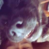 louisa.dbl
