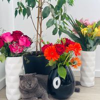 prinzessin_ela