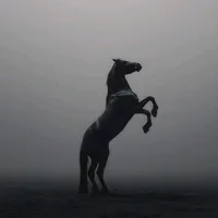 original sound - ali_balochh1
