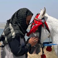 naqashahmed4878