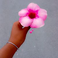 sofialovealie