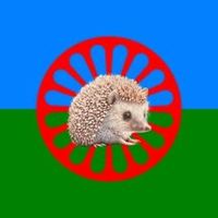 user81516265815740