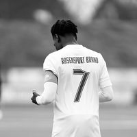 user.sane7