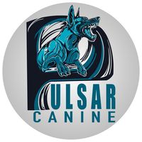 pulsarcanine