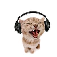 original sound