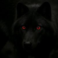 _true_alpha_0