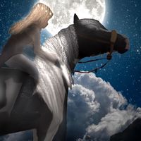 sso_horse122